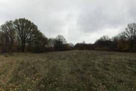 Land For Sale, Jvara