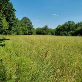 Land For Sale, Jvara