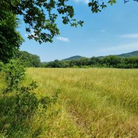 Land For Sale, Jvara