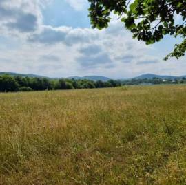 Land For Sale, Jvara