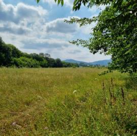 Land For Sale, Jvara