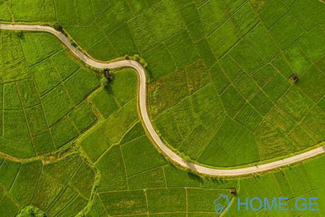 Land For Sale, Ureki