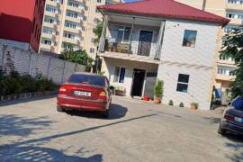 Daily Rent,  Khopa