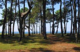 Land For Sale, For Investment