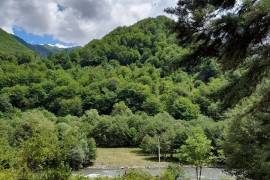 იყიდება მიწის ნაკვეთი
