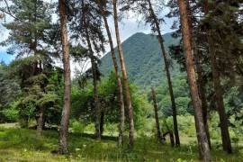 იყიდება მიწის ნაკვეთი, სასოფლო - სამეურნეო
