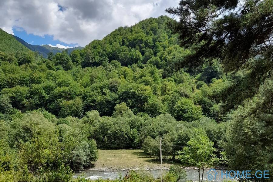 იყიდება მიწის ნაკვეთი, სასოფლო - სამეურნეო