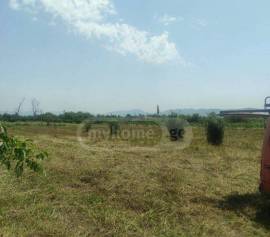 Land For Sale, Aghaiani