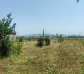 Land For Sale, Aghaiani