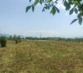 Land For Sale, Aghaiani