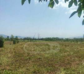 Land For Sale, Aghaiani