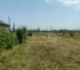 Land For Sale, Aghaiani