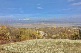 Продается Земля, Коммерческий, Tvaladi