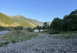 Land For Sale, Agricultural, Pasanauri