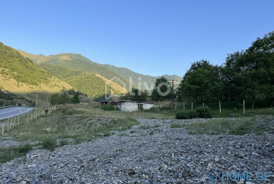 Land For Sale, Agricultural, Pasanauri