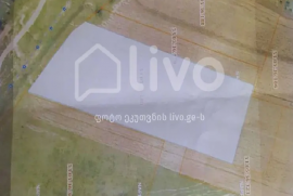 Land For Sale, Agricultural