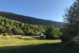 Land For Sale, Agricultural