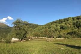 Land For Sale, Agricultural