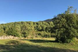 Land For Sale, Agricultural