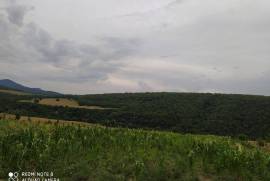 Land For Sale, Saguramo