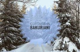 Продается Дом, 6 Kомнатная, Боржомский район, Бакуриани