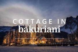 Продается Дом, 6 Kомнатная, Боржомский район, Бакуриани