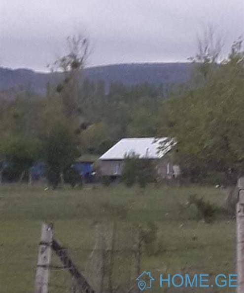 Land For Sale, Orkhevi