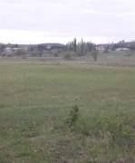 Land For Sale, Orkhevi