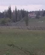 Land For Sale, Lilo