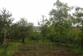 Land For Sale, Lisi lake