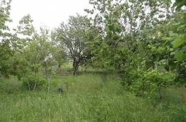 Land For Sale, Lisi lake