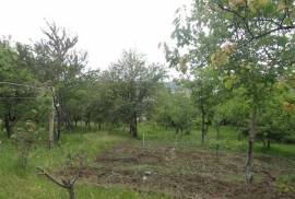 Land For Sale, Lisi lake