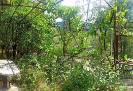House For Sale, 10 Room, Borjomi , Borjomi