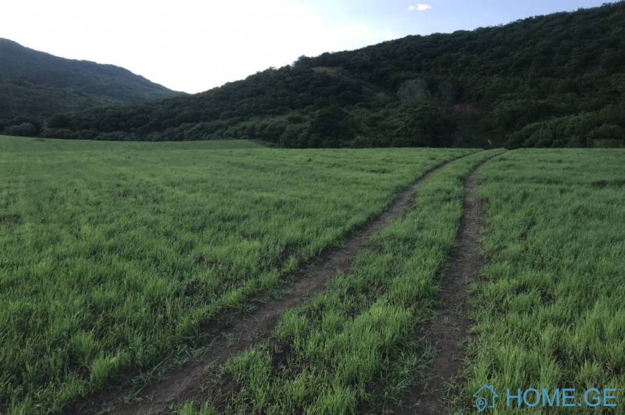 Land For Sale Tbilisi