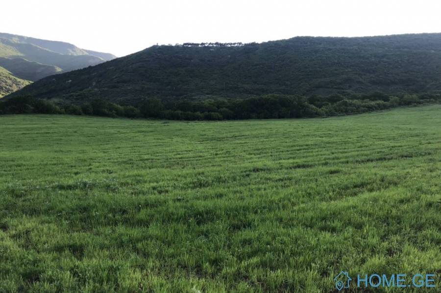 Land For Sale Tbilisi