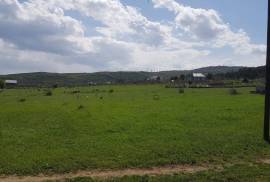 Land For Sale, Lisi lake