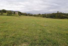 Land For Sale, Tskarostavi