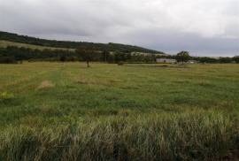 Land For Sale, Tskarostavi