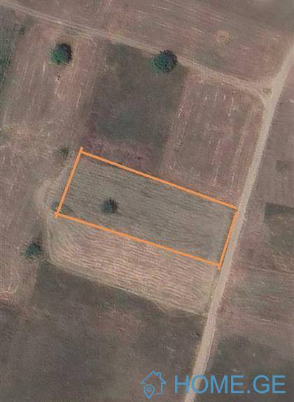 Land For Sale, Tskarostavi