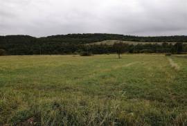 Land For Sale, Tskarostavi