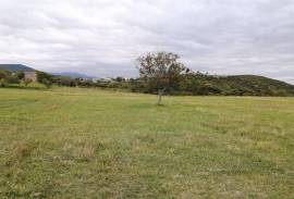 Land For Sale, Tskarostavi