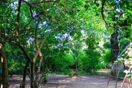 Land For Sale, Non Agricultural