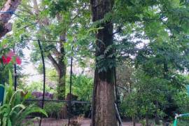 Land For Sale, Non Agricultural