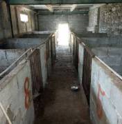 Land For Sale, Commercial, Tianeti