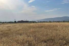 Land For Sale, Saguramo