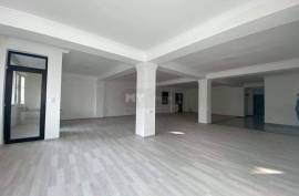 For Rent, Office, Vedzisi