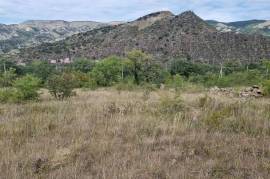 Land For Sale, Dzegvi