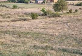Land For Sale, Saskhori