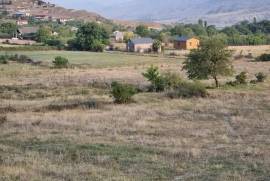 Land For Sale, Saskhori