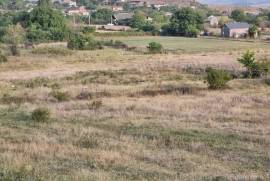 Land For Sale, Saskhori